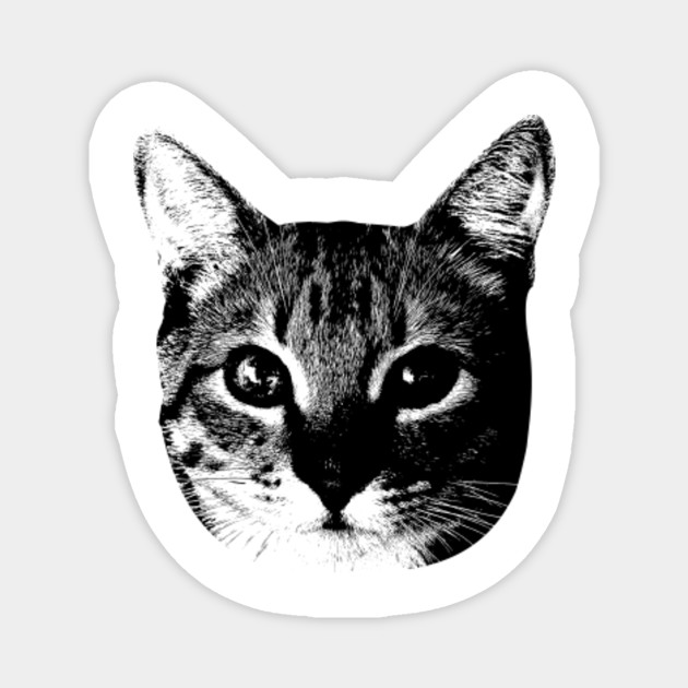 Black Cat Shirt Cat Magnet Teepublic
