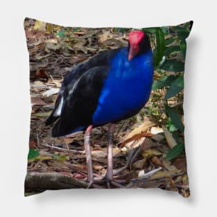 The Purple Swamp Hen! Pillow