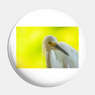 Handsome snowy egret Pin