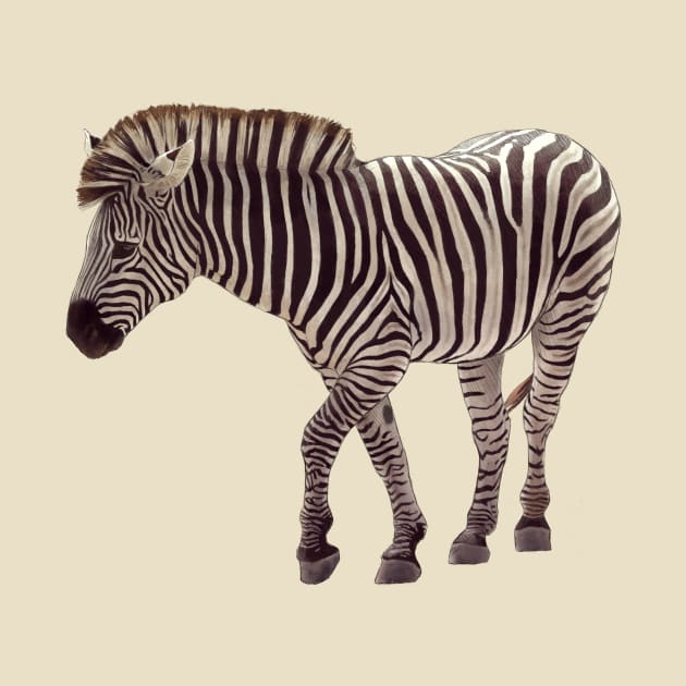 Zebra by Atarial