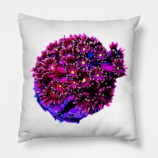 Pink Goni Pillow