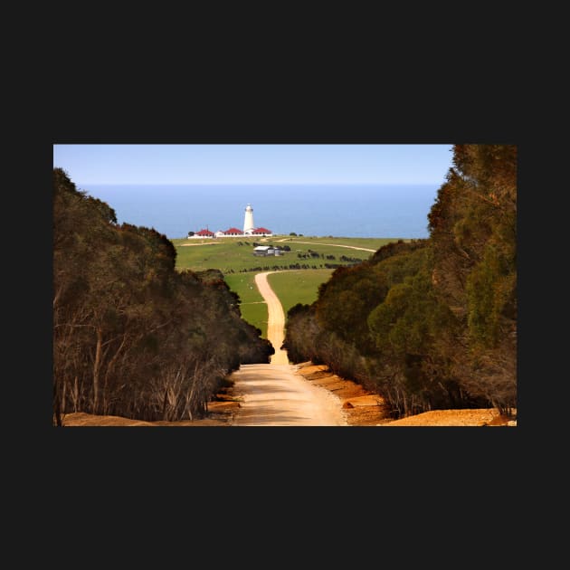 Cape Willoughby Lighthouse by Carole-Anne