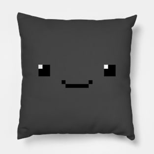 Hide & Seek Pillow