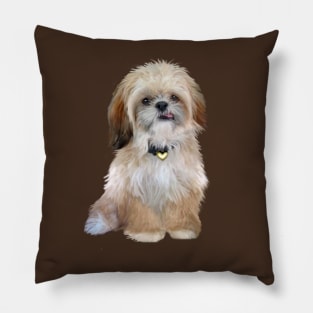 Adorable Cream Colored Shih Tzu Pillow