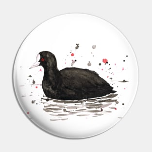 Common coot Pin