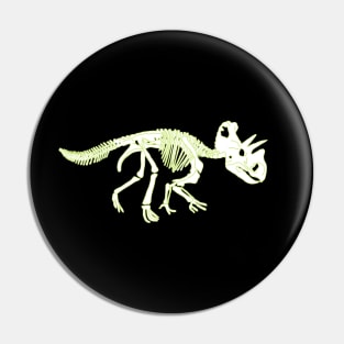 Skeleton of a Stegosaurus Dinosaur Pin