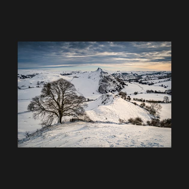 Winter Snow Scene with Mountains and Tree by TonyNorth