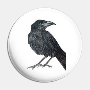 Raven Pin