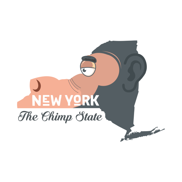 A funny map of New York New York TShirt TeePublic