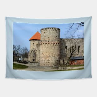 Ruins of medieval castle in Cesis, Latvia Tapestry