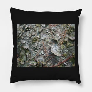 Woodland floor-Available As Art Prints-Mugs,Cases,Duvets,T Shirts,Stickers,etc Pillow