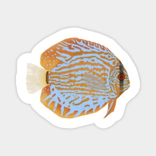 Discus Magnet