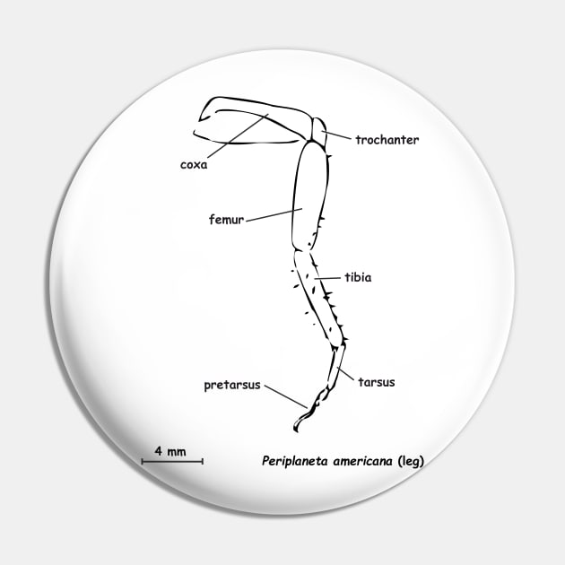 Cockroache leg, labeled Pin by RosArt100