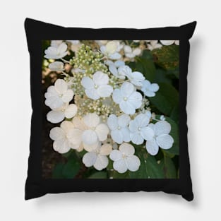 White hydrangeas Pillow