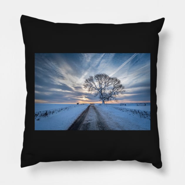 Snowy Tree and Road at Dawn Pillow by TonyNorth