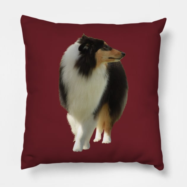 Black Lassie Pillow by alsoCAN