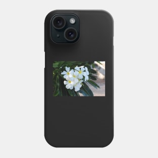 Frangipani or Yellow and White Plumeria flowers, Barbados, WI Phone Case