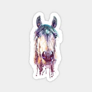 Horse Face Watercolor Front Portrait Magnet