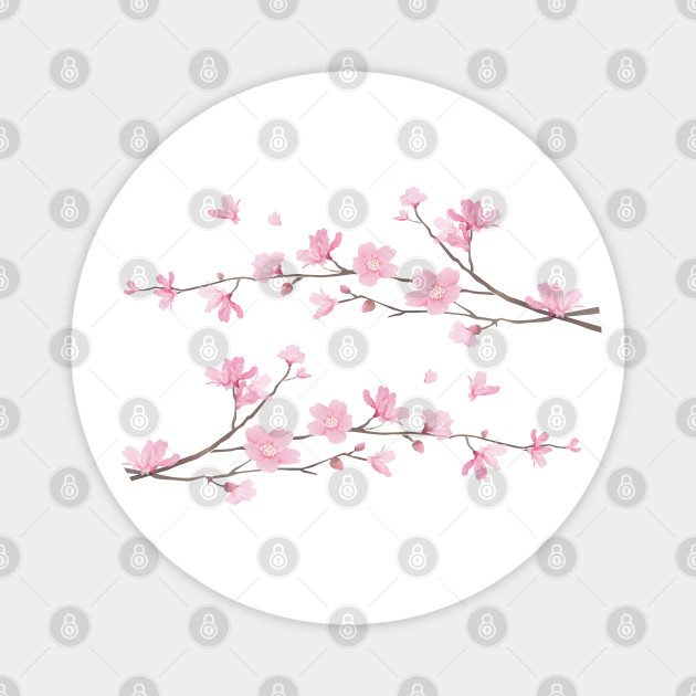 Cherry Blossom Branches Transparent Background Cherry Blossom Magnet Teepublic