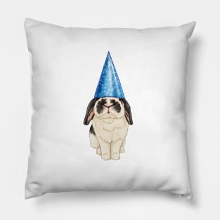 Hoppy Birthday Pillow