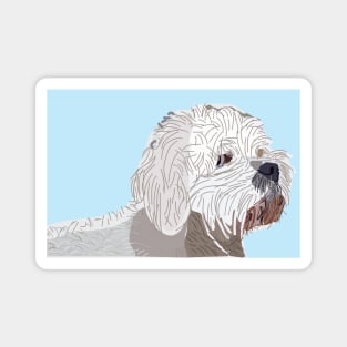 Bichon Frise Dog on Blue Magnet