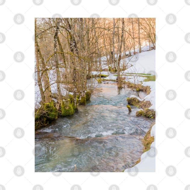 Calc-sinter or Travertine terraces, Gutenberg, South Germany by mbangert