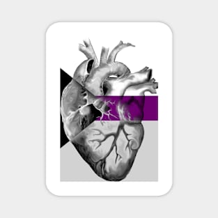 Demisexual Pride Anatomic Heart Magnet