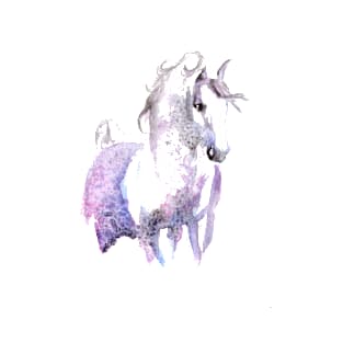 Dappled Arabian Horse in Amethyst T-Shirt