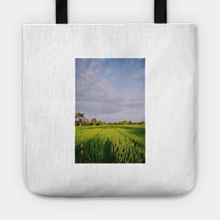 PRODUCTIVE DAY is coming. Tote