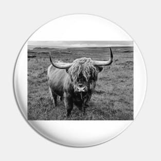 Highland Cow Pin