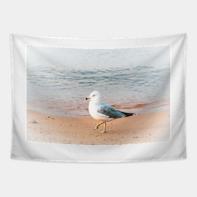 Seagull on the Beach at Okanagan Lake Tapestry by Amy-K-Mitchell