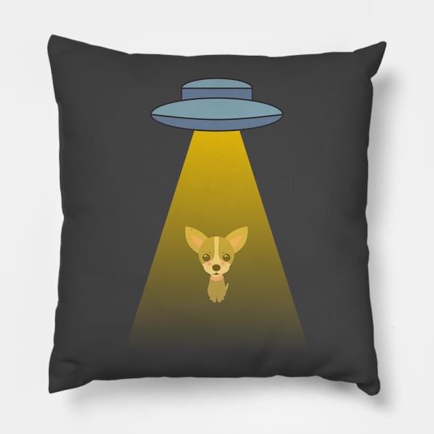 Space take a dod Pillow by MichelMM