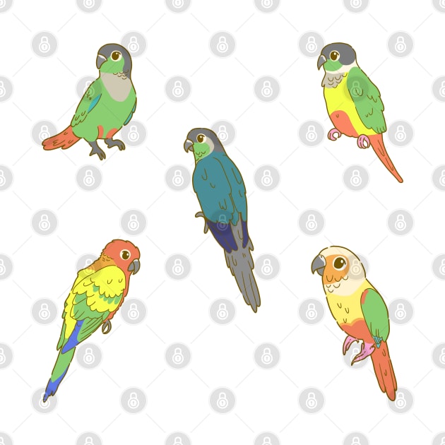 Colourful Conures Sticker Pack by casserolestan