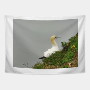 Gannet Tapestry