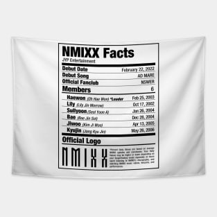 NMIXX Nutritional Facts 2 Tapestry