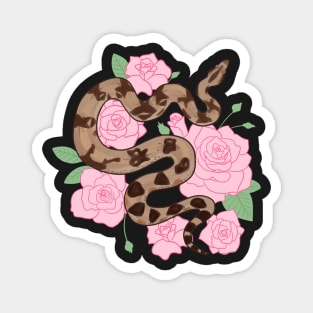 Boa Constrictor and Roses Magnet