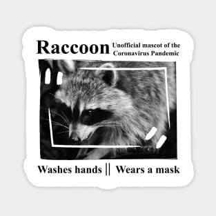 Raccoon - The Mascot Of The Coronavirus Pandemic Magnet