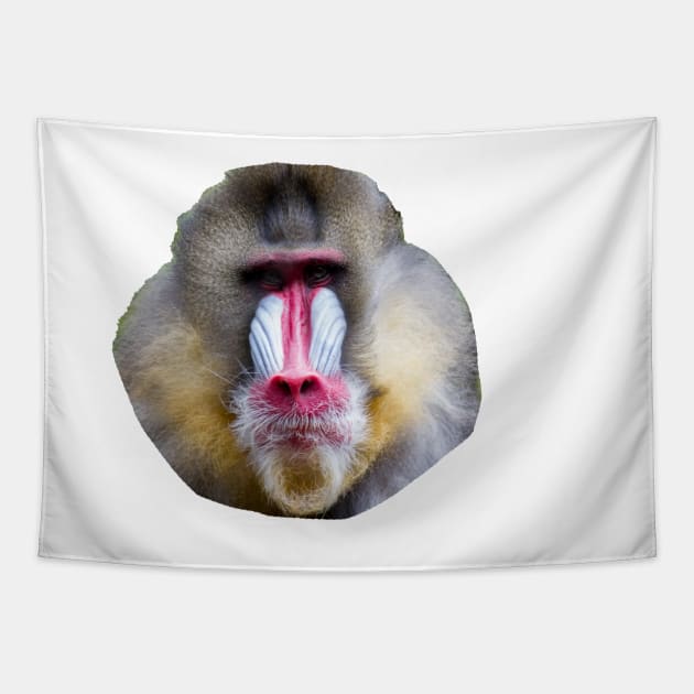 Baboon Tapestry by redneckpoet