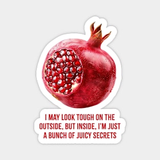 Pomegranate Magnet