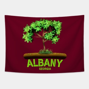 Albany Georgia Tapestry