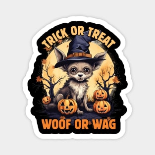 Beware the Dogoween Witch Pup! Magnet