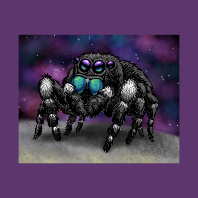 Bold Jumping Spider in Space by RJKpoyp