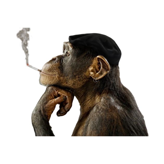 Cigarrete Smoking Monkey by Smoking Monkey