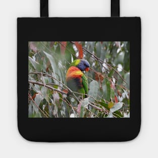 Rainbow Lorikeet in Norton Summit Tote