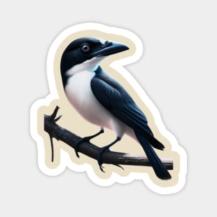 Butcherbird Sitting on a Branch Magnet