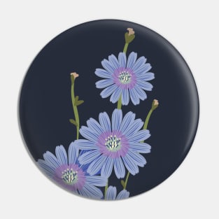 Chicory a bouquet of blue flowers Pin