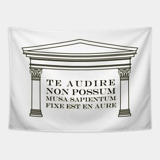 Te audire non possum - funny Latin saying Tapestry