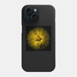 Backyard Flowers No 10 Color Flow Version Phone Case