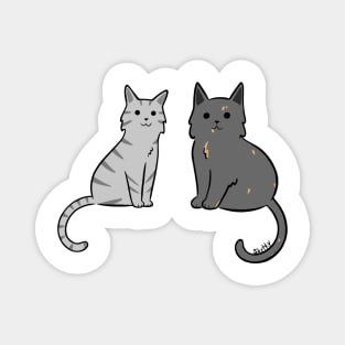 Two Cats in Color Magnet