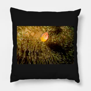 Peaceful Home Pillow